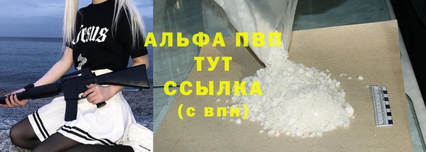 хмурый Абаза