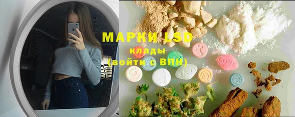 хмурый Абаза